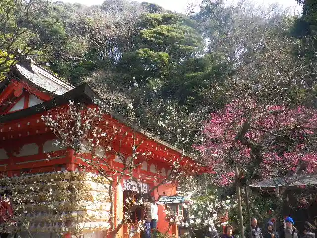 荏柄天神社の本殿・本堂