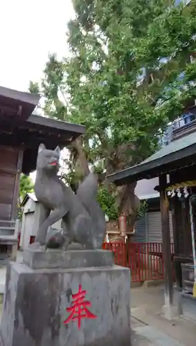 押切稲荷神社の狛犬