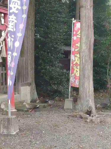 三光稲荷神社(福島県)