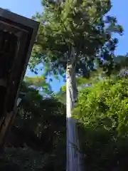 山王神社の建物その他