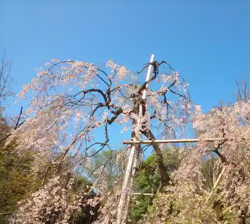 大國魂神社(東京都)
