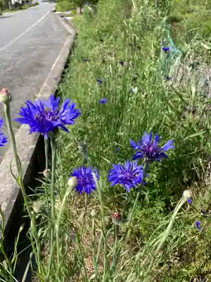 大師堂(兵庫県)