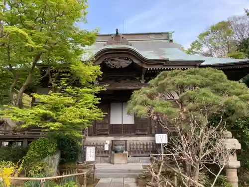 妙法寺の本殿・本堂