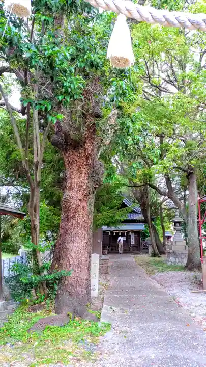 熊野神社のその他建物