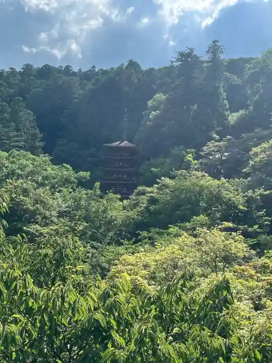 長谷寺(奈良県)