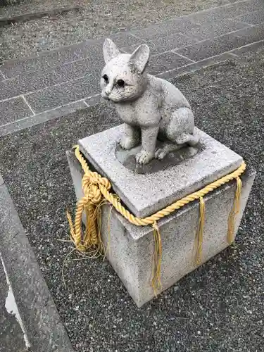 阿豆佐味天神社 立川水天宮の狛犬