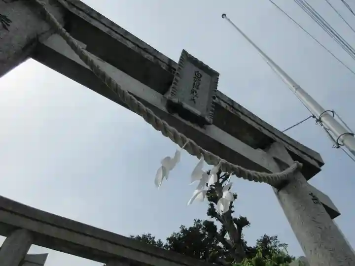 白蛇辨財天の鳥居