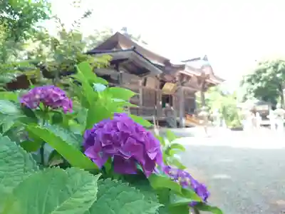 長谷寺(神奈川県)