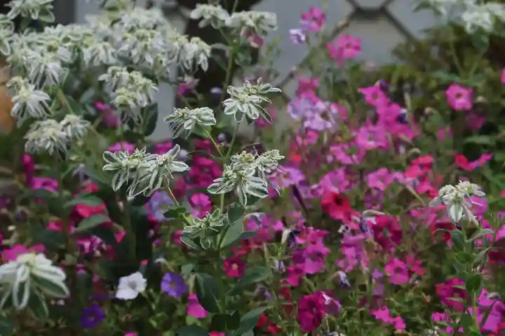 大鏑神社の庭園