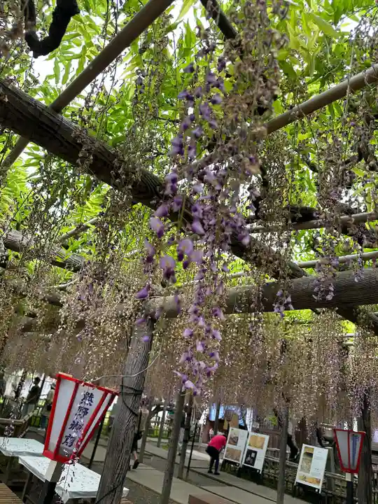 行興寺(静岡県)