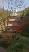 清水寺の塔