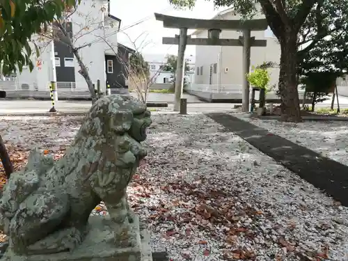 蛭子神社（原ケ崎町）の狛犬