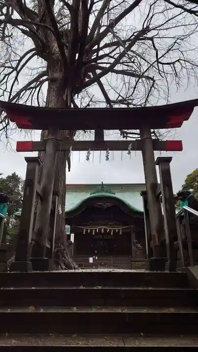 下総国三山 二宮神社の鳥居