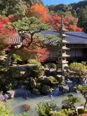 興聖寺(興聖寶林禅寺)(京都府)