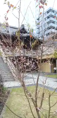 圓珠寺のその他建物