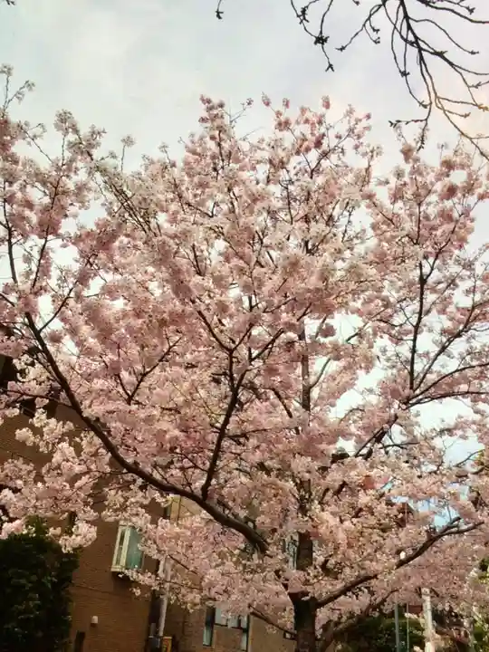 麻布氷川神社(東京都)