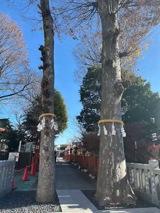 川越八幡宮(埼玉県)