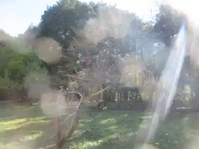 真福寺(埼玉県)