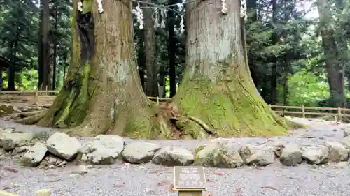 河口浅間神社(山梨県)