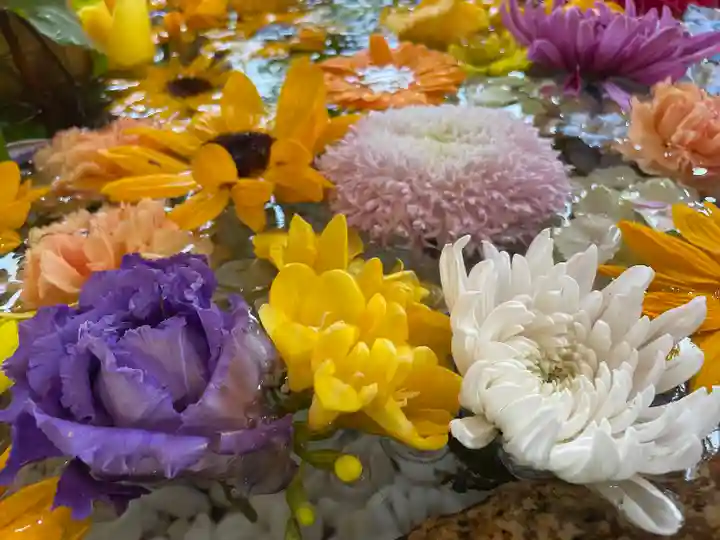 鶴岡八幡宮(神奈川県)