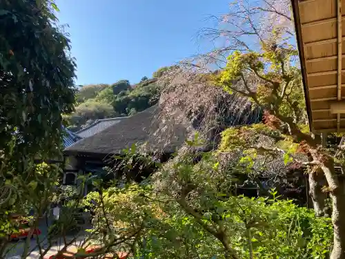 円覚寺の{uncategorized: "未分類", other: "その他", undefined: "問題あり", building: "その他建物", grave: "お墓", sacred_gate: "鳥居", guardian: "狛犬", statue: "像", buddha: "仏像", history: "歴史", nature: "自然", garden: "庭園", animal: "動物", pagoda: "塔", temizu: "手水舎", mountain_gate: "山門・神門", sanctuary: "本殿・本堂", subordinate: "末社・摂社", art: "芸術", scenery: "景色", jizo: "地蔵", ema: "絵馬", goshuin: "御朱印", omikuji: "おみくじ", items: "授与品その他", amulet: "お守り", goshuincho: "御朱印帳", eats: "食事", festival: "お祭り", votive_dance: "神楽", shichigosan: "七五三参", wedding: "結婚式", experience: "体験その他", initially: "初詣", around: "周辺", anti_infection: "感染症対策"}