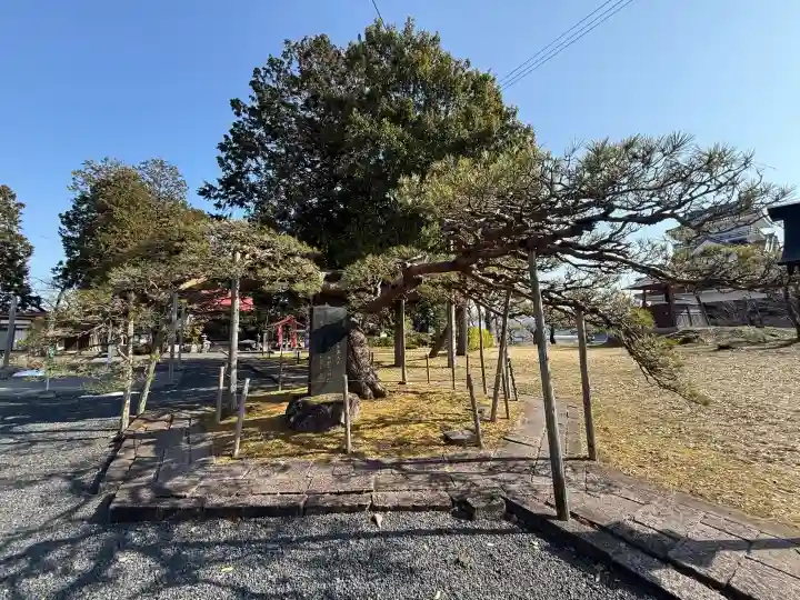 月岡神社の{uncategorized: "未分類", other: "その他", undefined: "問題あり", building: "その他建物", grave: "お墓", sacred_gate: "鳥居", guardian: "狛犬", statue: "像", buddha: "仏像", history: "歴史", nature: "自然", garden: "庭園", animal: "動物", pagoda: "塔", temizu: "手水舎", mountain_gate: "山門・神門", sanctuary: "本殿・本堂", subordinate: "末社・摂社", art: "芸術", scenery: "景色", jizo: "地蔵", ema: "絵馬", goshuin: "御朱印", omikuji: "おみくじ", items: "授与品その他", amulet: "お守り", goshuincho: "御朱印帳", eats: "食事", festival: "お祭り", votive_dance: "神楽", shichigosan: "七五三参", wedding: "結婚式", experience: "体験その他", initially: "初詣", around: "周辺", anti_infection: "感染症対策"}