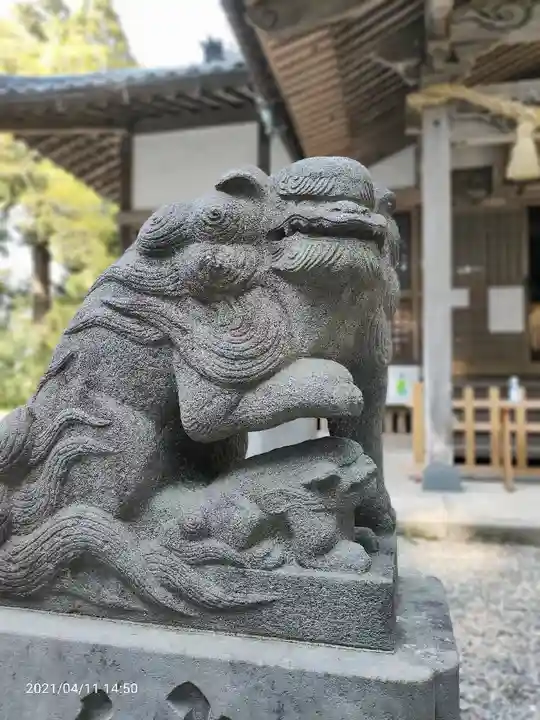 縣神社の狛犬