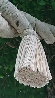 亀ケ池八幡宮のその他建物