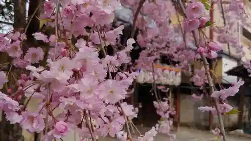 石像寺（釘抜地蔵）の自然