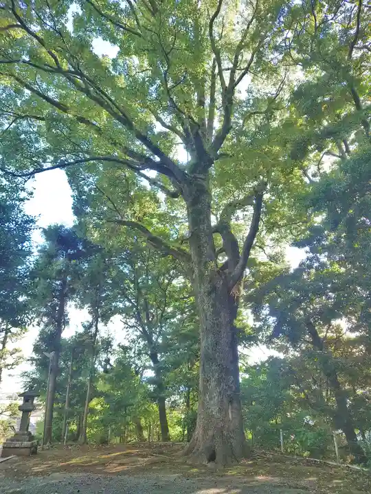 居神神社(神奈川県)