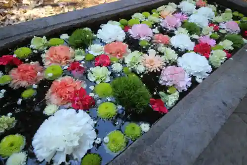前玉神社(埼玉県)