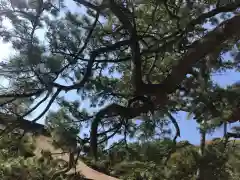 日御碕神社の自然