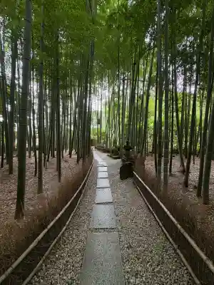 報国寺(神奈川県)