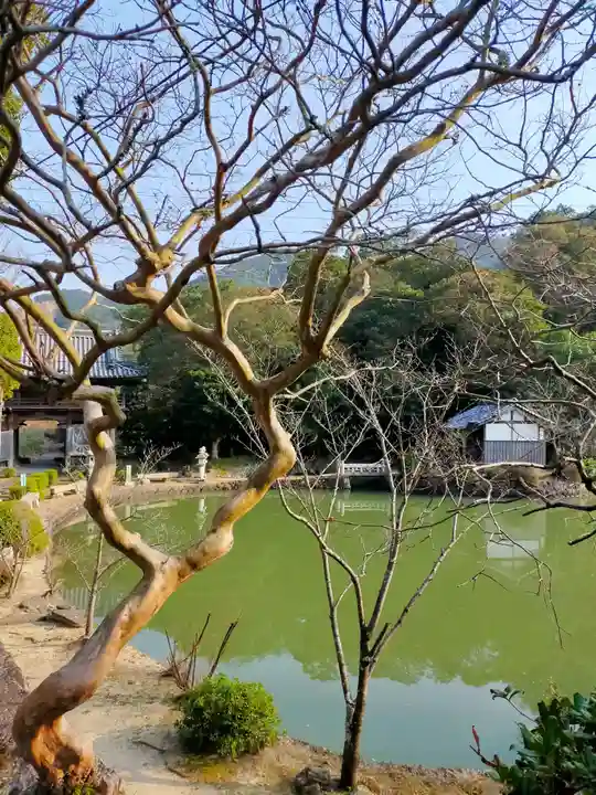 興善寺(大阪府)