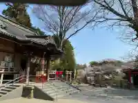 白笹稲荷神社の{uncategorized: "未分類", other: "その他", undefined: "問題あり", building: "その他建物", grave: "お墓", sacred_gate: "鳥居", guardian: "狛犬", statue: "像", buddha: "仏像", history: "歴史", nature: "自然", garden: "庭園", animal: "動物", pagoda: "塔", temizu: "手水舎", mountain_gate: "山門・神門", sanctuary: "本殿・本堂", subordinate: "末社・摂社", art: "芸術", scenery: "景色", jizo: "地蔵", ema: "絵馬", goshuin: "御朱印", omikuji: "おみくじ", items: "授与品その他", amulet: "お守り", goshuincho: "御朱印帳", eats: "食事", festival: "お祭り", votive_dance: "神楽", shichigosan: "七五三参", wedding: "結婚式", experience: "体験その他", initially: "初詣", around: "周辺", anti_infection: "感染症対策"}