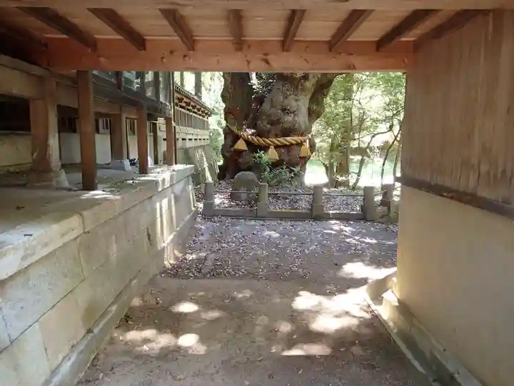 狭野神社のその他建物