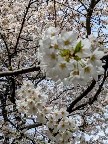 秋葉神社の自然