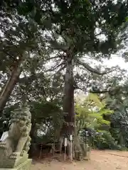 側高神社(千葉県)