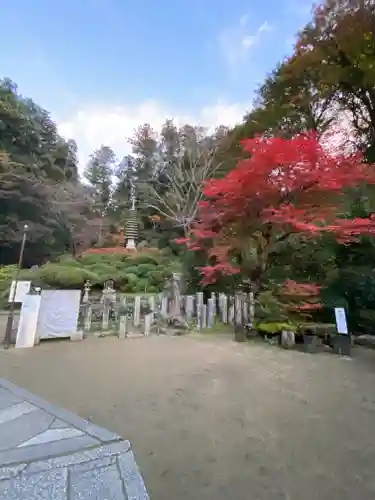 岡寺（龍蓋寺）(奈良県)