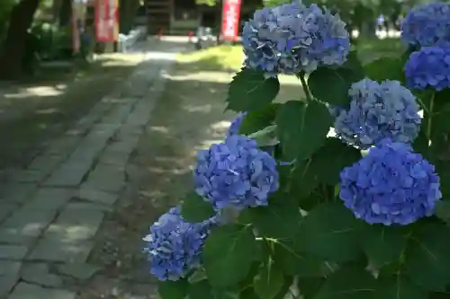 安禅寺(新潟県)