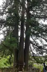 戸隠神社中社(長野県)