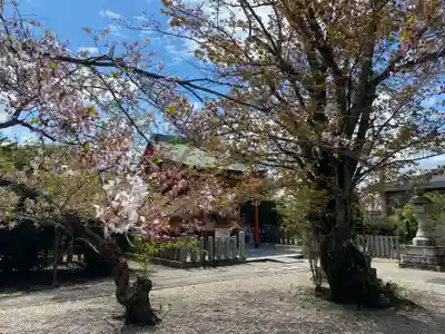 山城ゑびす神社のその他建物