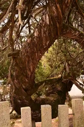 光明坊(広島県)