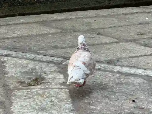 頂法寺（六角堂）(京都府)