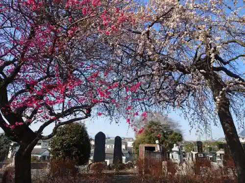 宗仲寺(神奈川県)