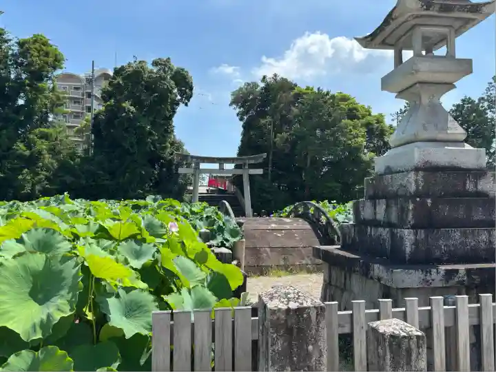 伊賀八幡宮(愛知県)