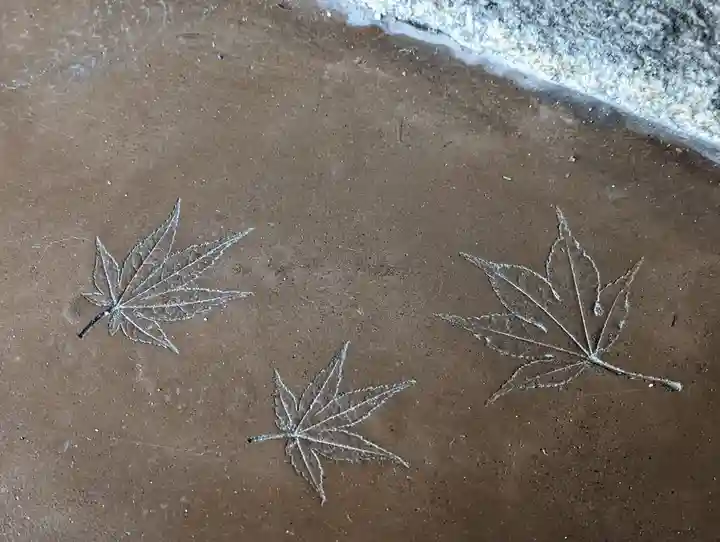 光明院(光明禅院)のその他建物