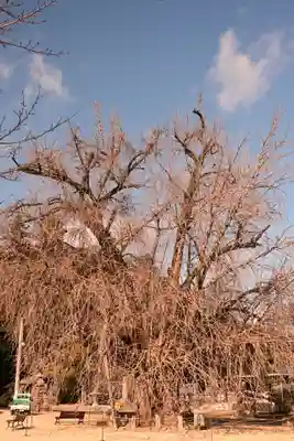 吉備津神社(広島県)