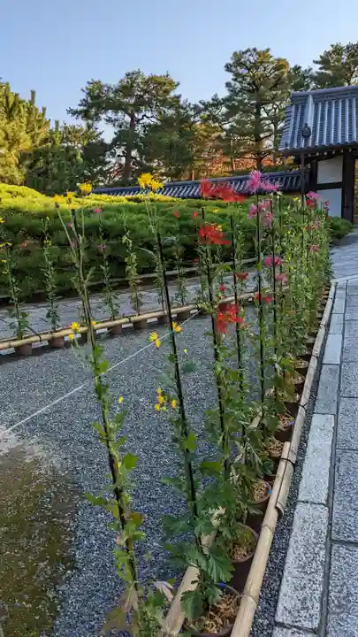 大覚寺(京都府)