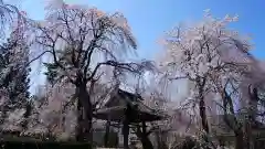 安養寺の建物その他